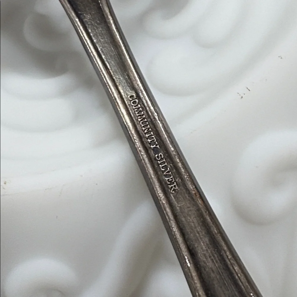 Elegant Silver Plate gravy Spoon Community Silver Co.